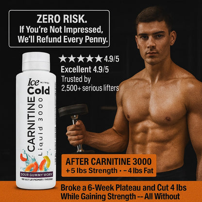 Liquid Carnitine 3000 - Natural Performance Shred Kit Ice Cold