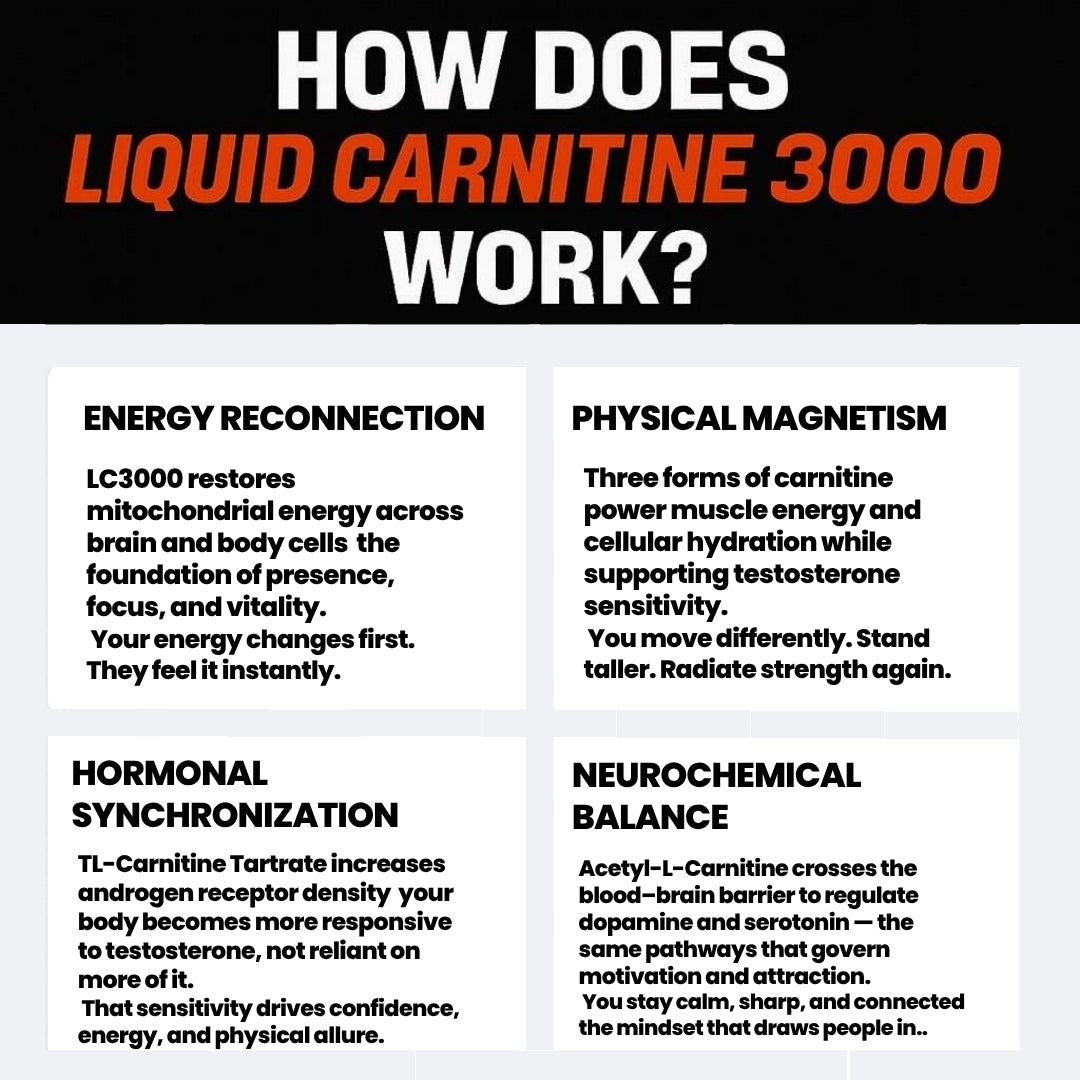 Liquid Carnitine 3000; 9 in 1 Attraction Support System Ice Cold