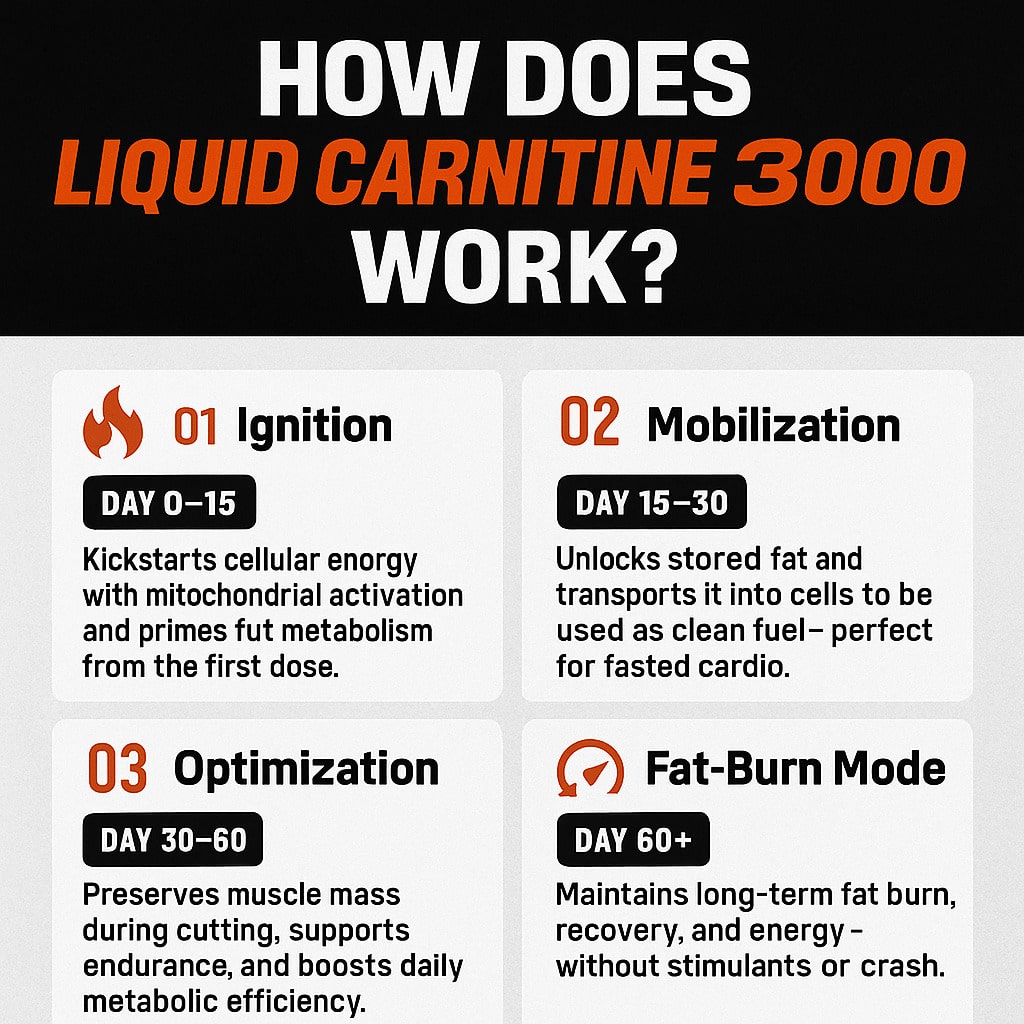 Liquid Carnitine 3000 - Natural Performance Shred Kit Ice Cold